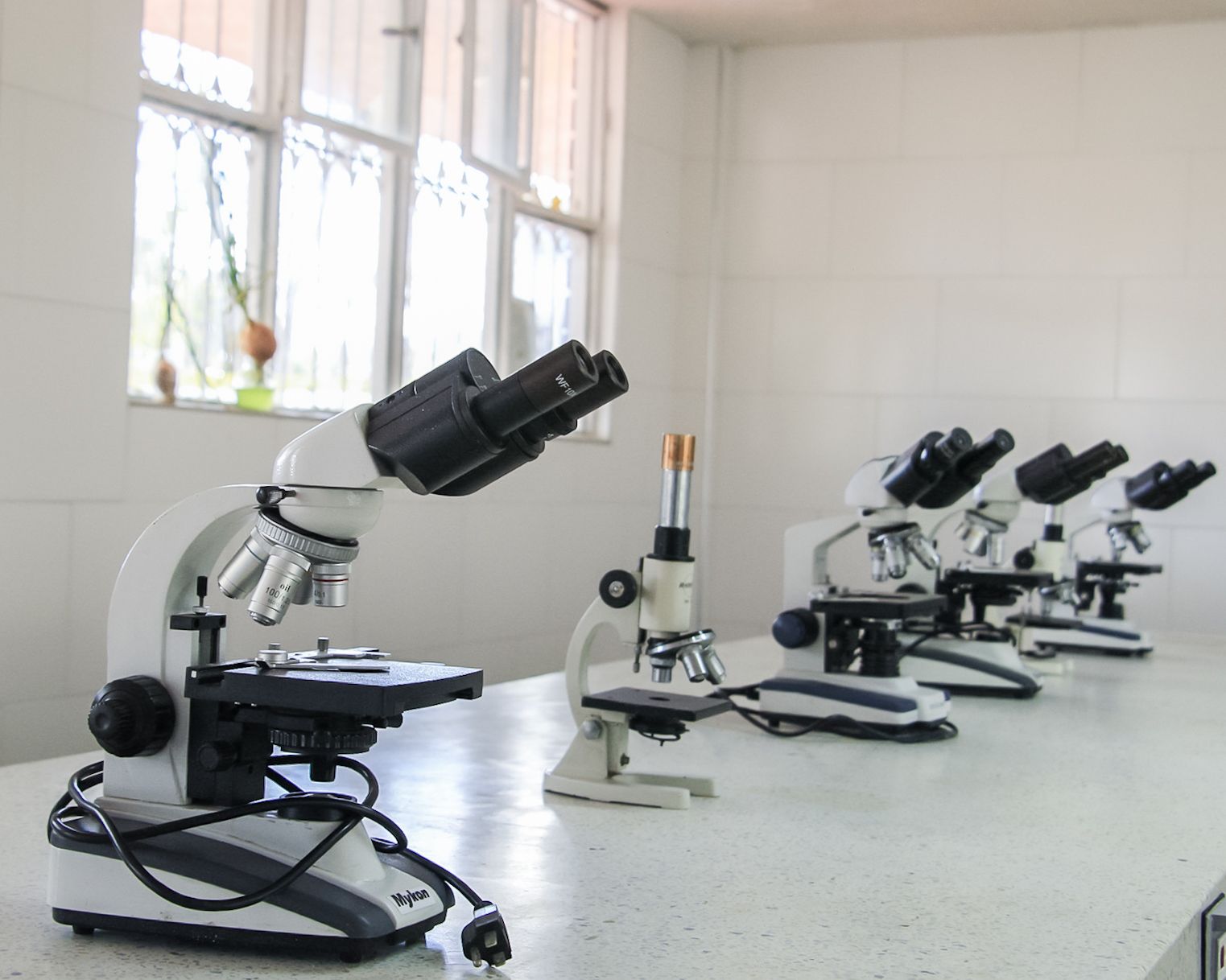 Laboratorio de COLREY con microscopios listos para la clase
