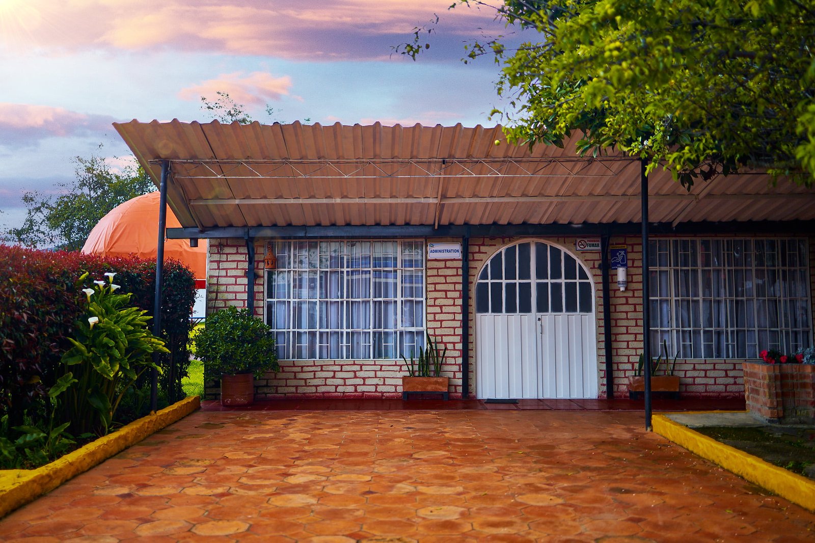 VER GALERÍA