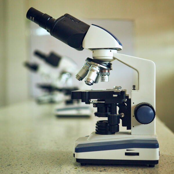 Investigación