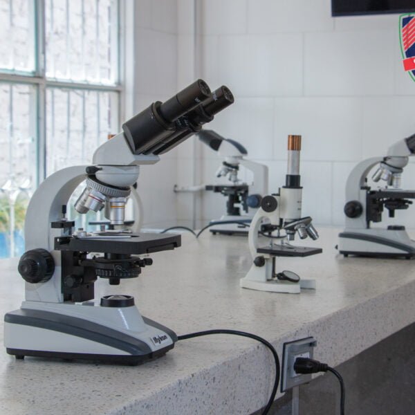 Ciencia